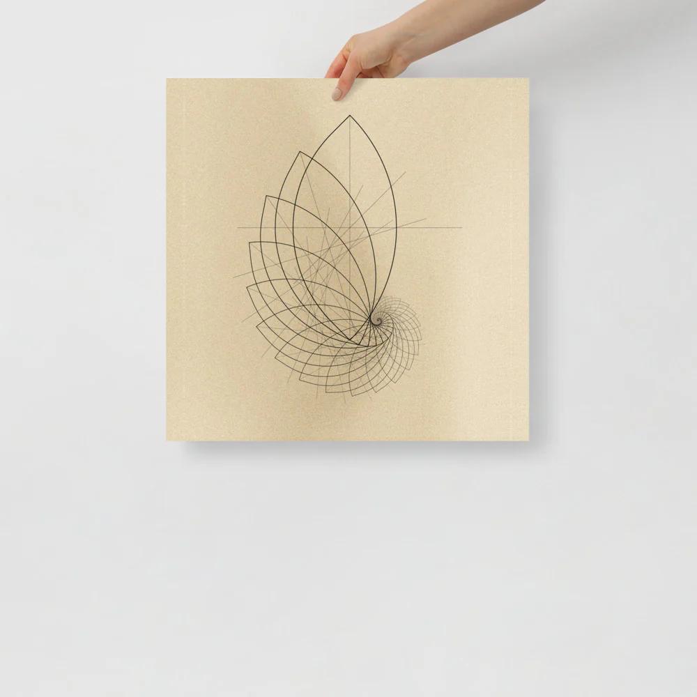 Ammonite Sketch - Image 10