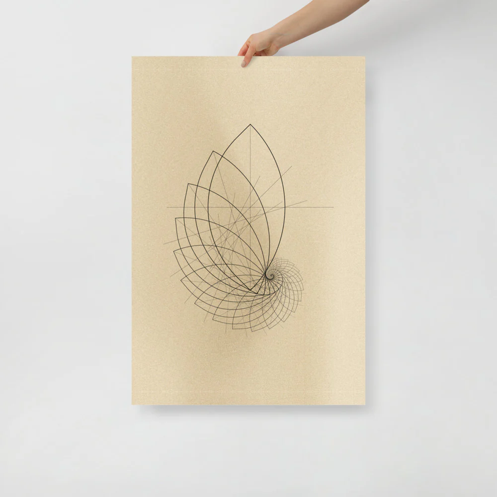 Ammonite Sketch - Image 12