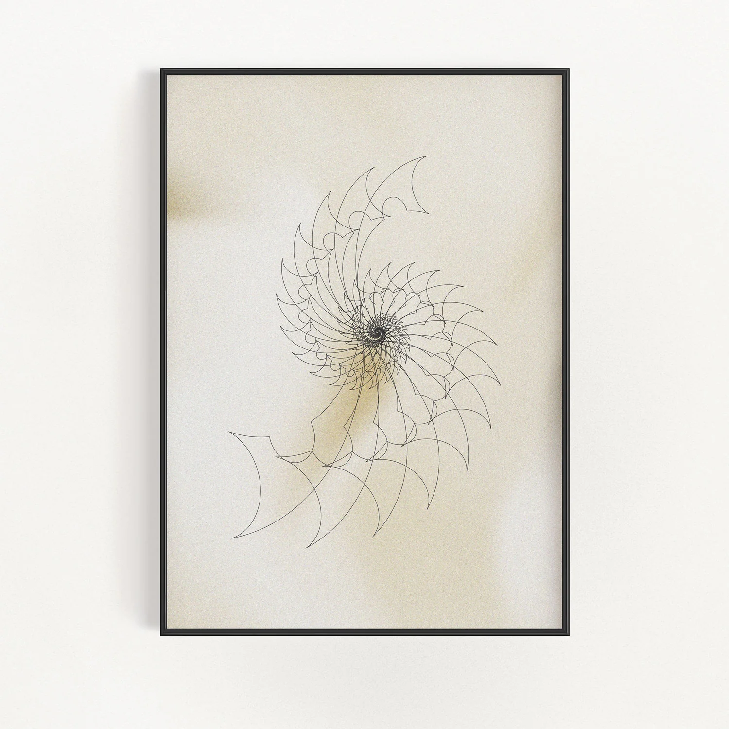 Ammonite Sketch 2