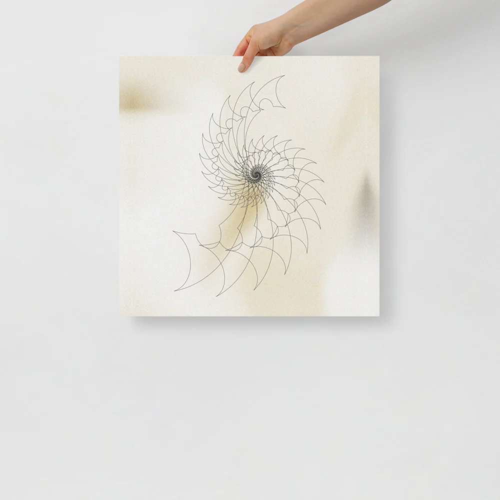 Ammonite Sketch 2 - Image 10