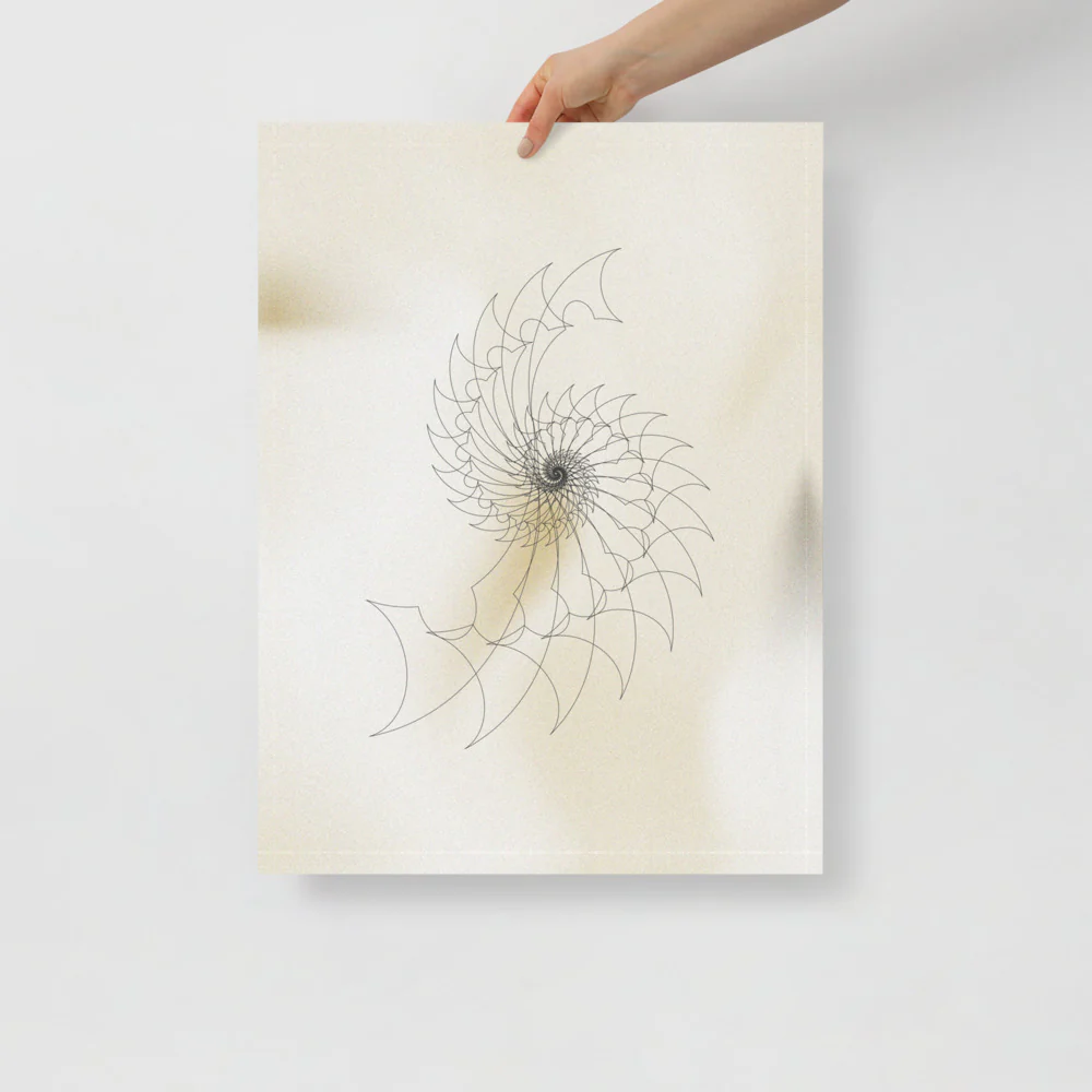 Ammonite Sketch 2 - Image 11