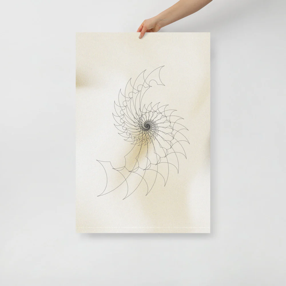 Ammonite Sketch 2 - Image 12