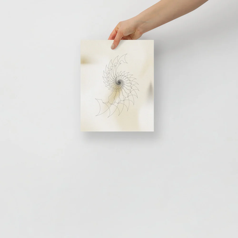 Ammonite Sketch 2 - Image 2