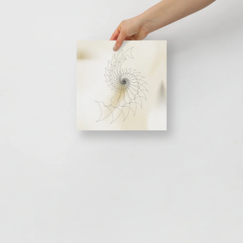 Ammonite Sketch 2 - Image 3
