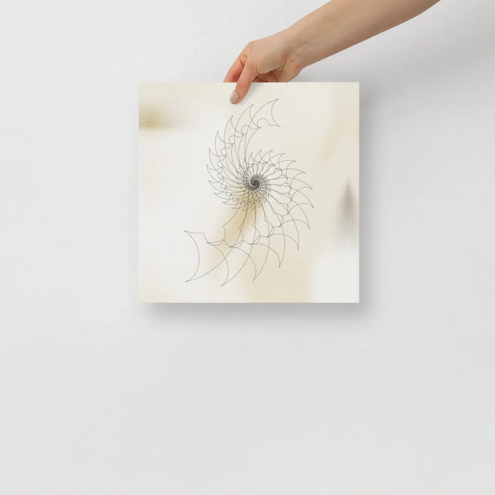 Ammonite Sketch 2 - Image 4