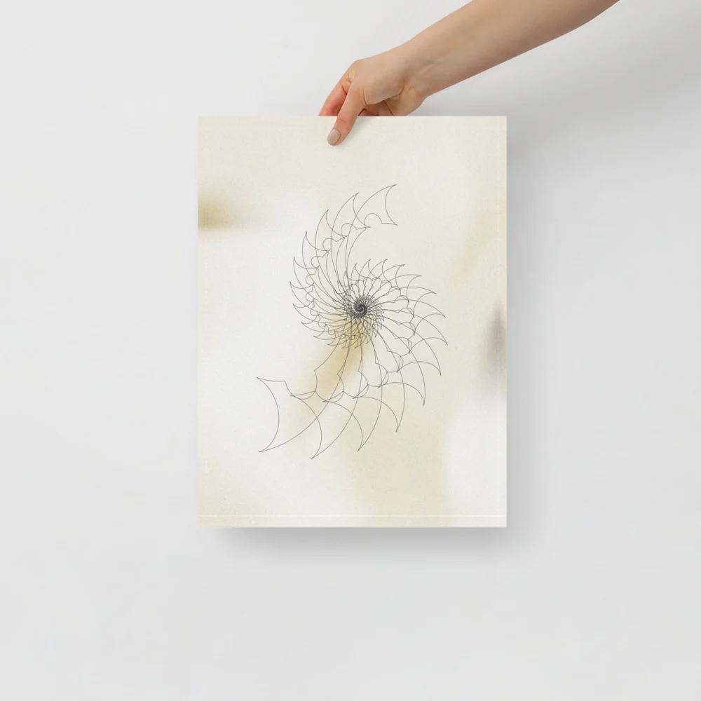 Ammonite Sketch 2 - Image 5
