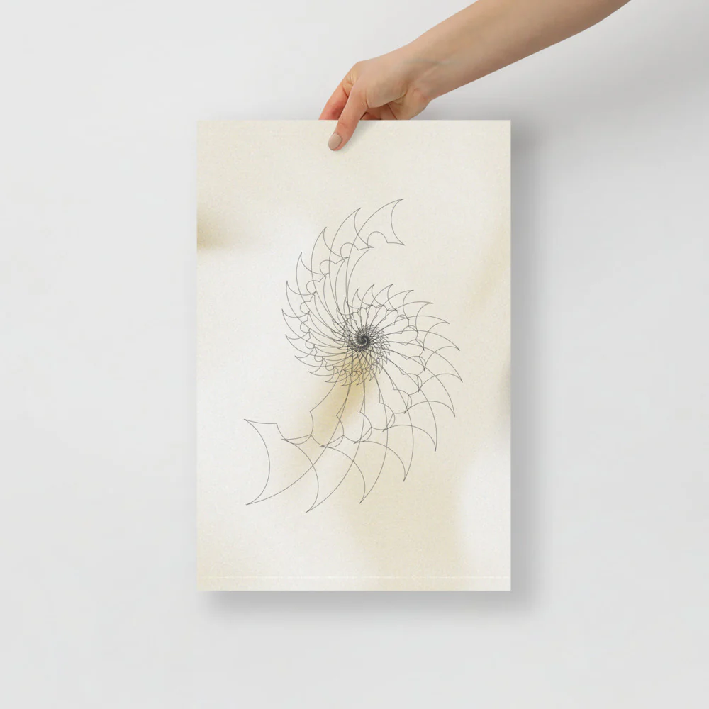 Ammonite Sketch 2 - Image 6