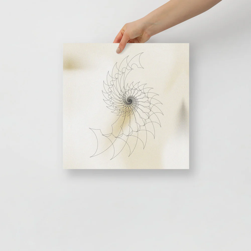 Ammonite Sketch 2 - Image 7
