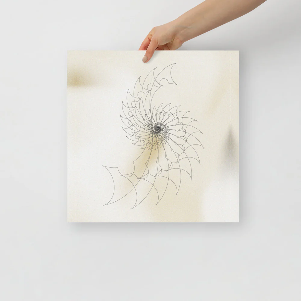 Ammonite Sketch 2 - Image 8