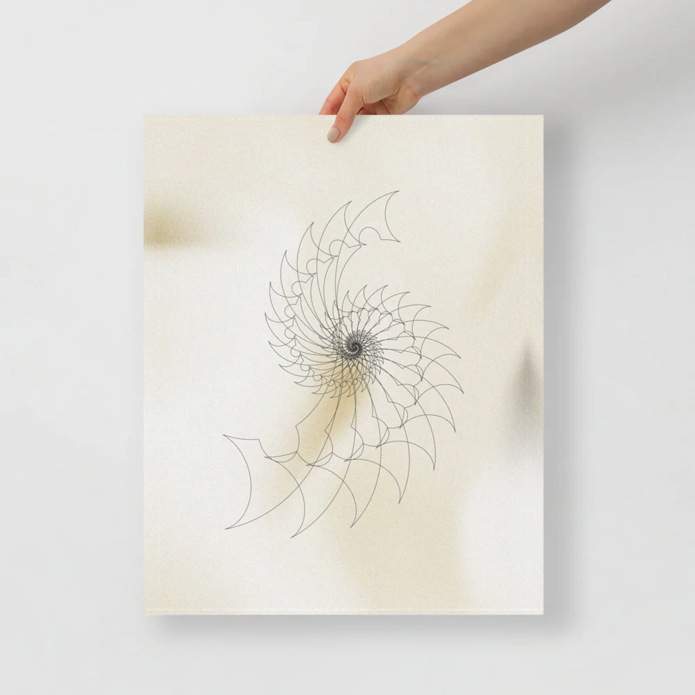 Ammonite Sketch 2 - Image 9