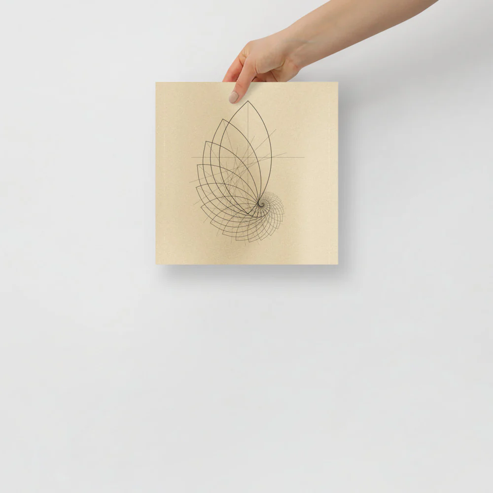Ammonite Sketch - Image 3