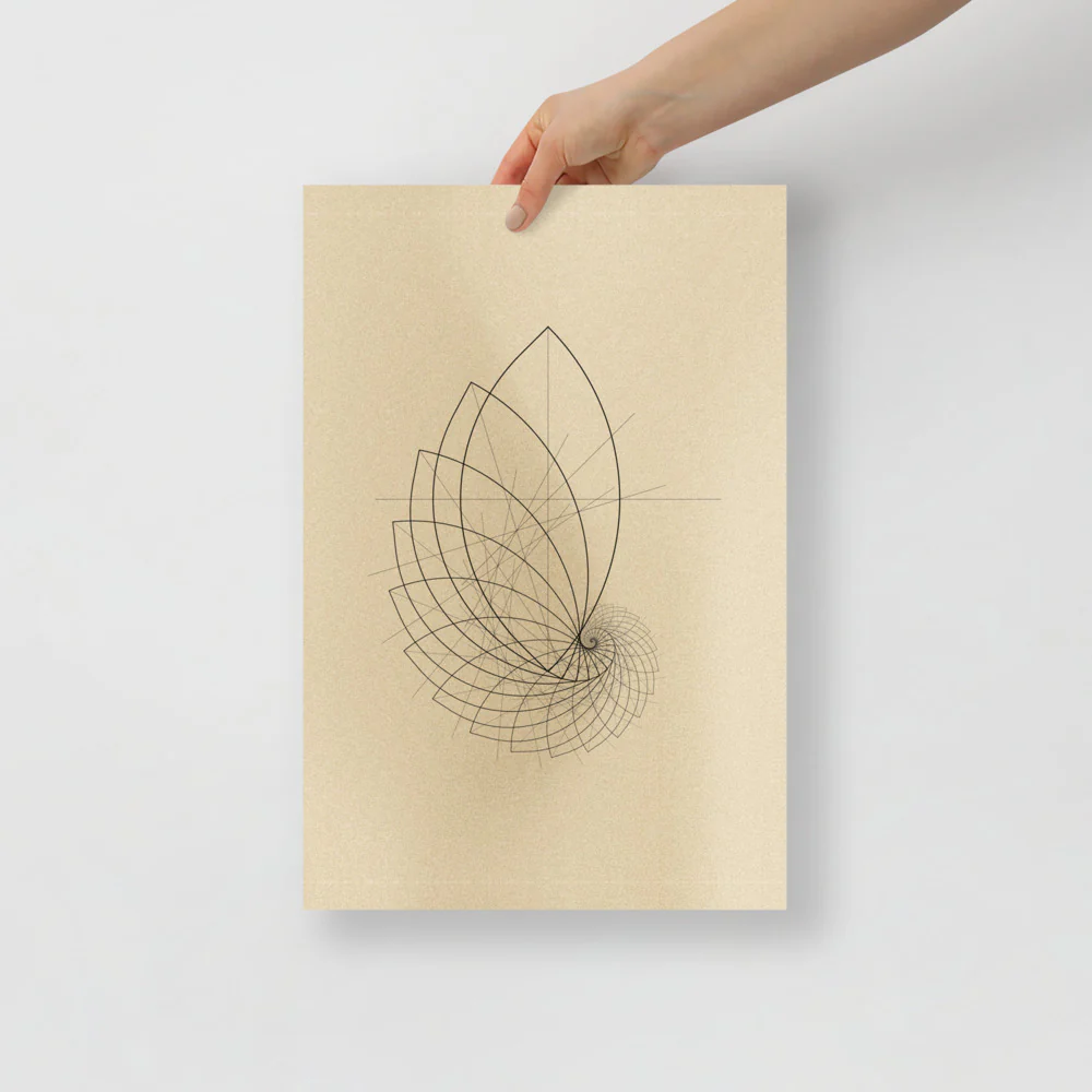 Ammonite Sketch - Image 6