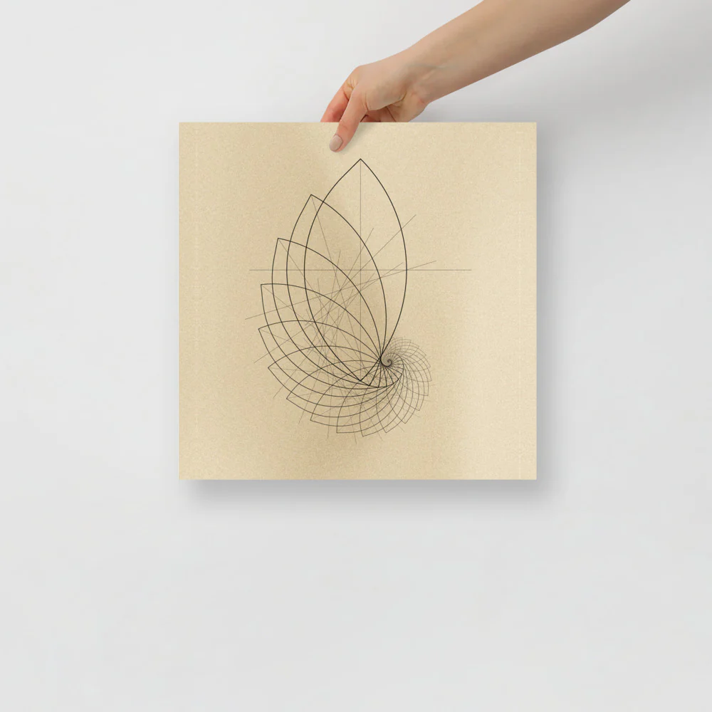 Ammonite Sketch - Image 7