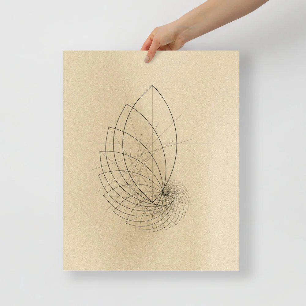 Ammonite Sketch - Image 9