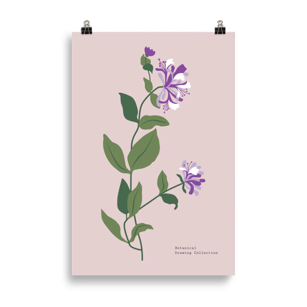 Botanical Drawing Collection-1 - Image 5