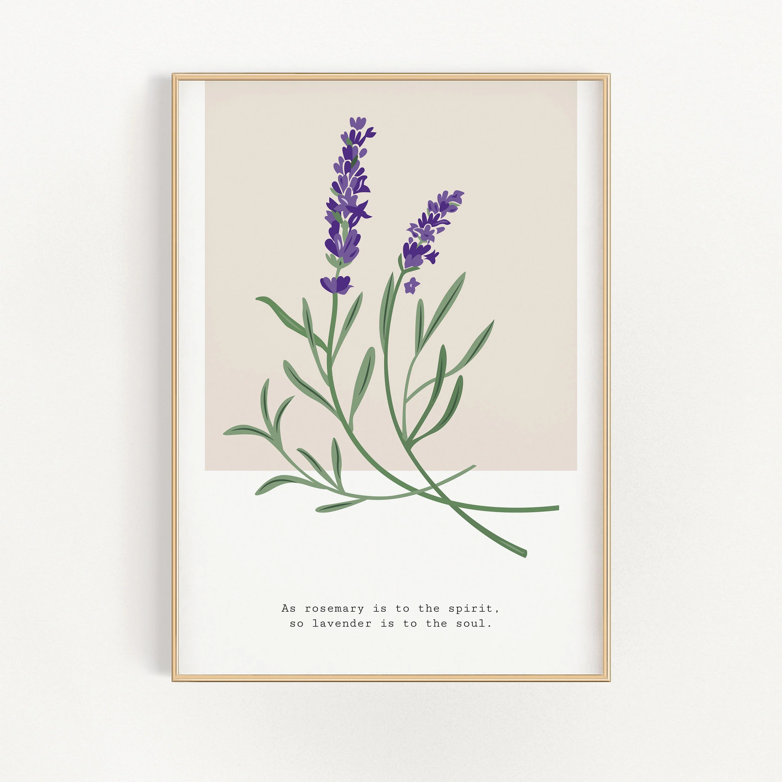 Botanical Garden - Hyacinth