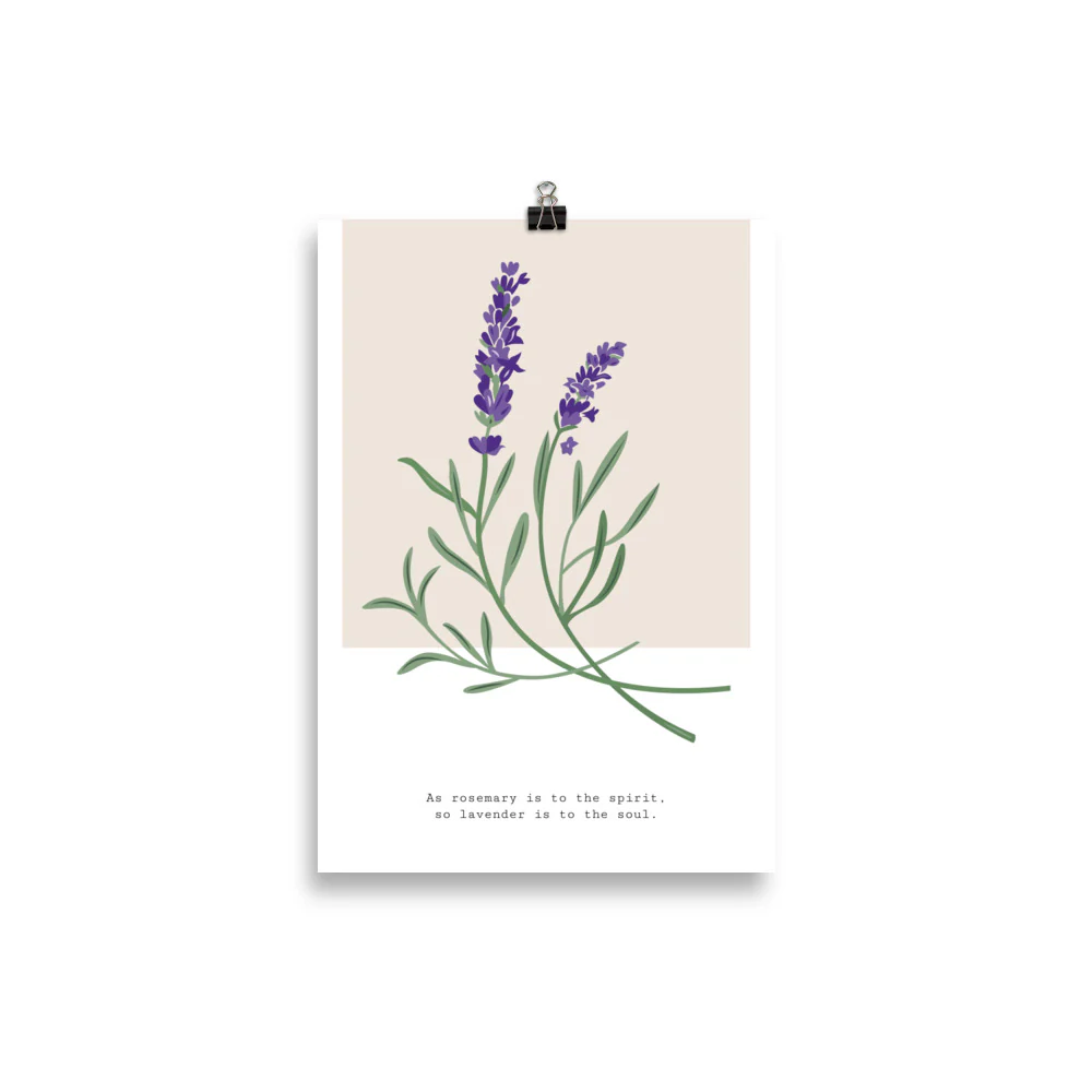 Botanical Garden - Hyacinth - Image 2