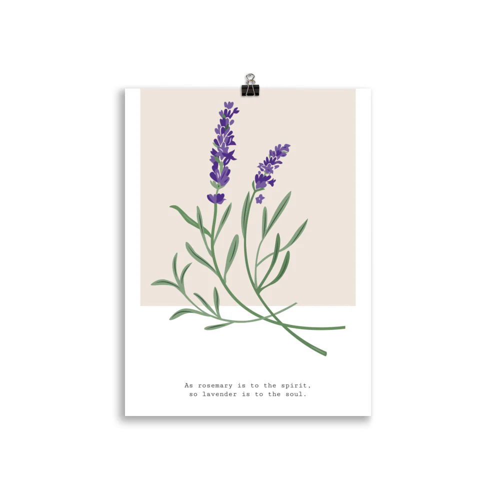 Botanical Garden - Hyacinth - Image 3