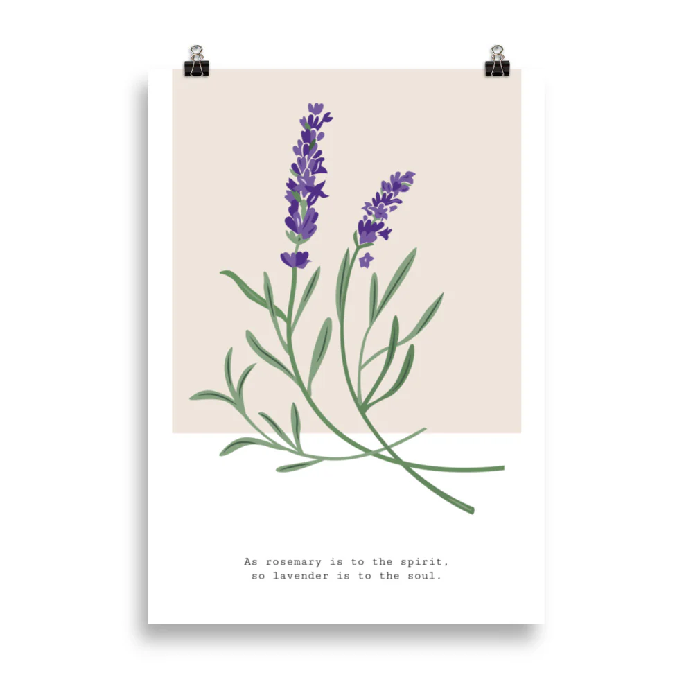 Botanical Garden - Hyacinth - Image 4