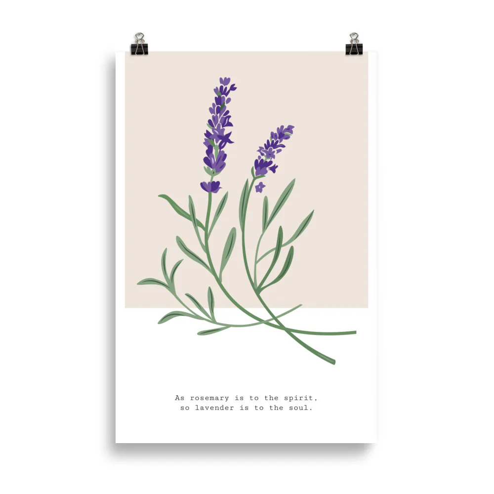 Botanical Garden - Hyacinth - Image 5