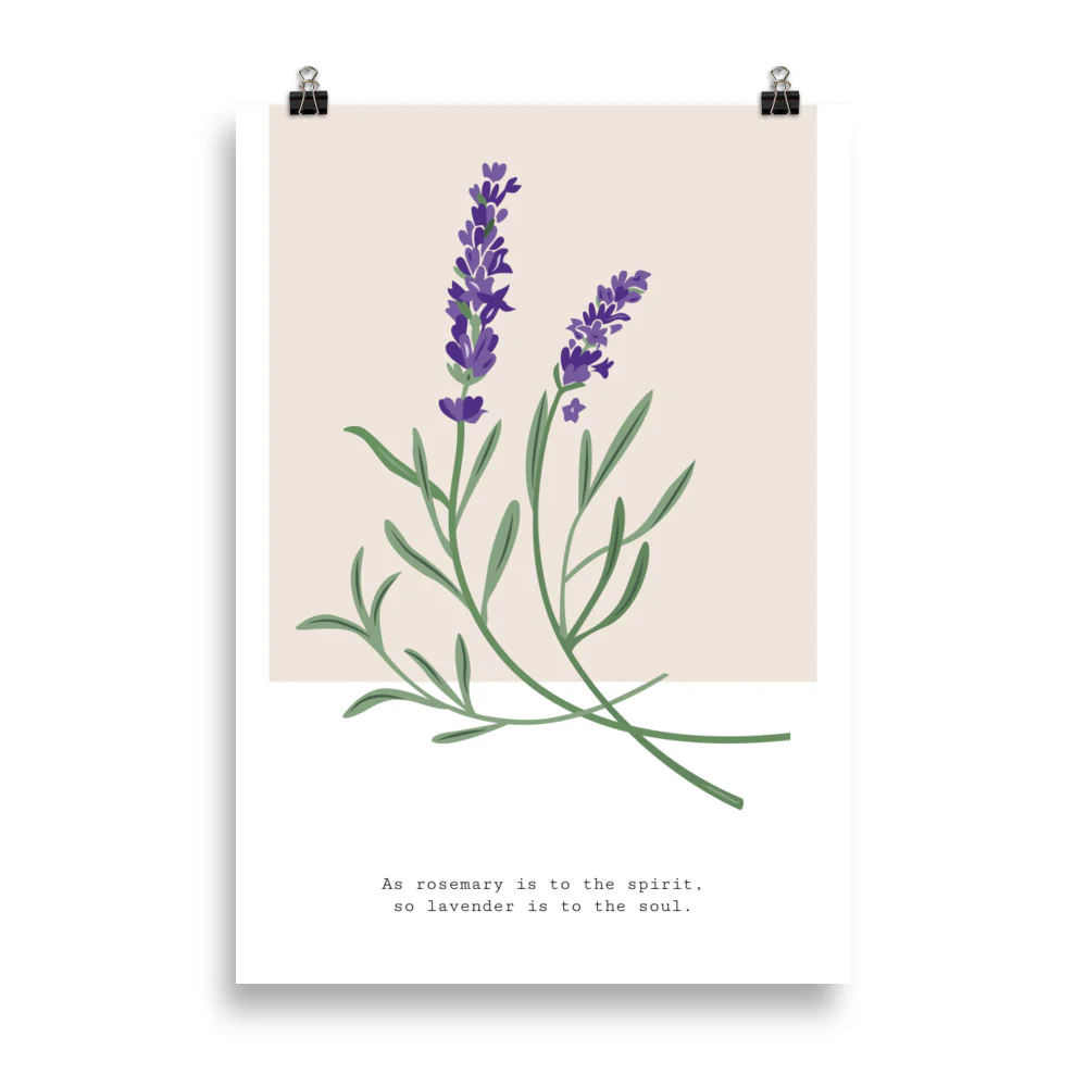 Botanical Garden - Hyacinth - Image 6