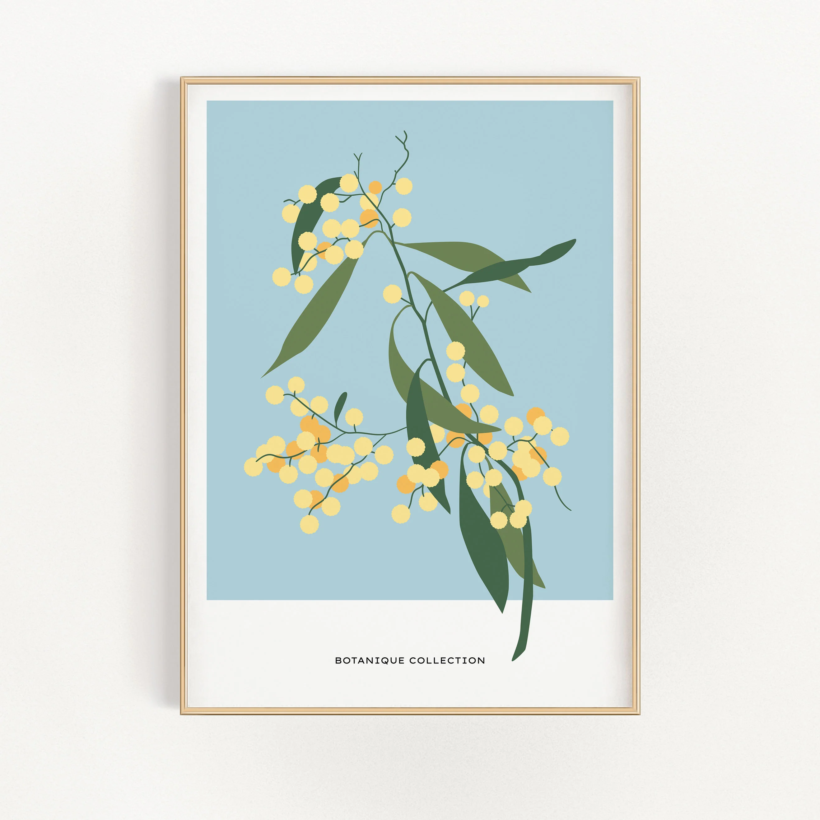 Botanique Collection