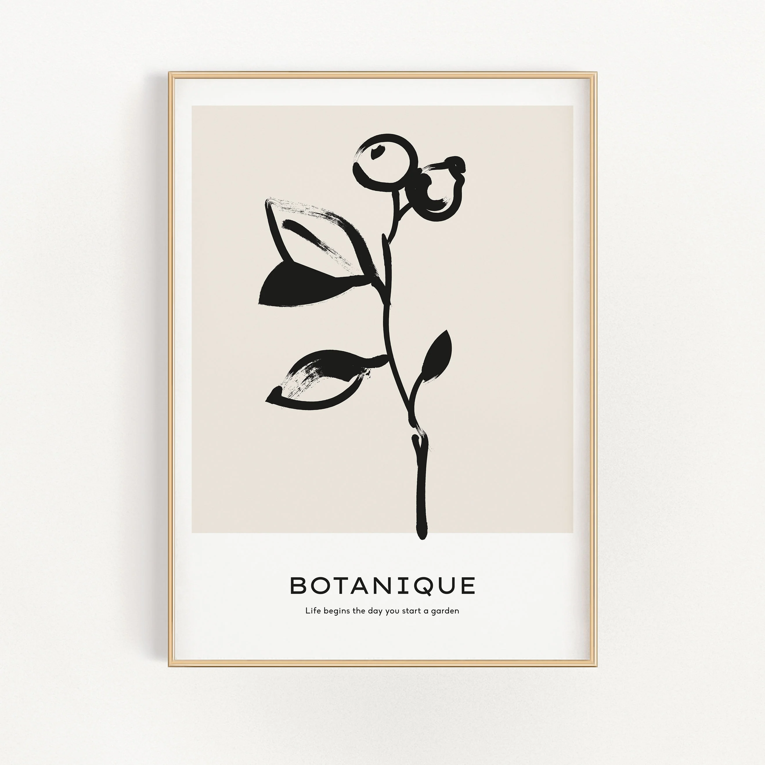Botanique - Fruit