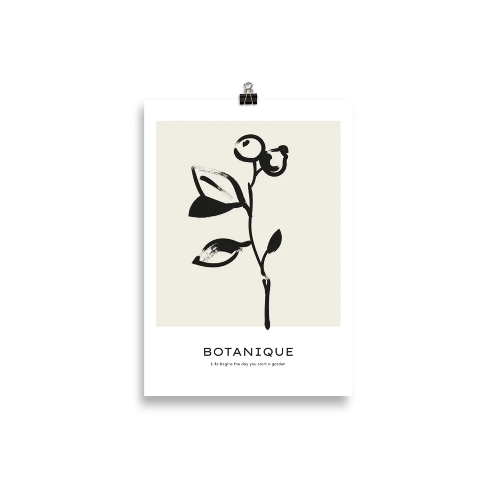 Botanique - Fruit - Image 2