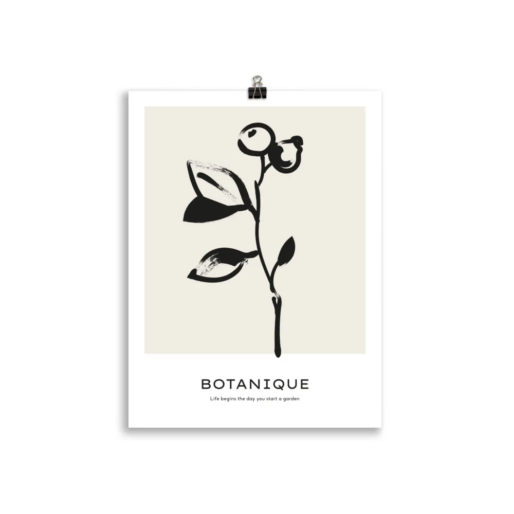 Botanique - Fruit - Image 3