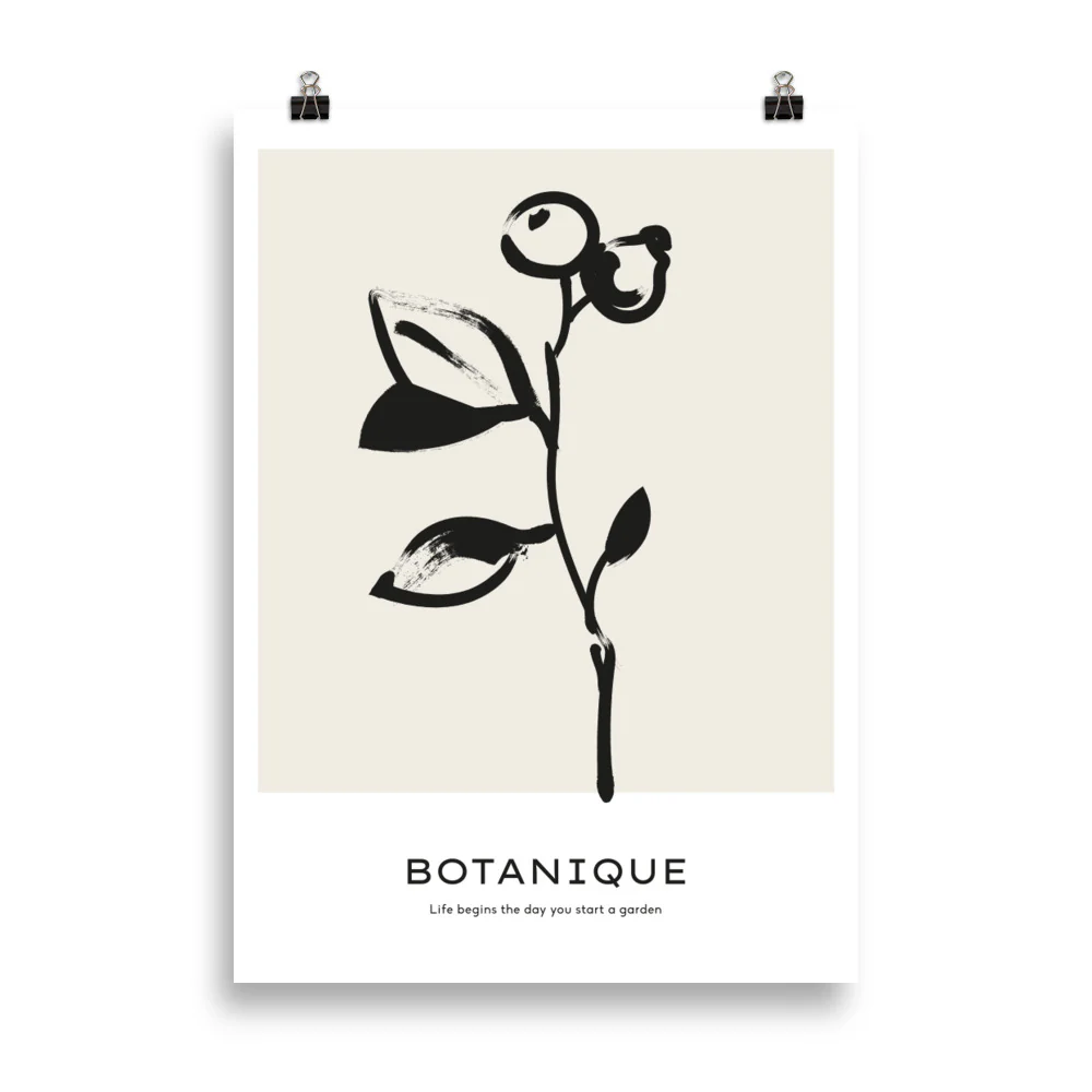 Botanique - Fruit - Image 4