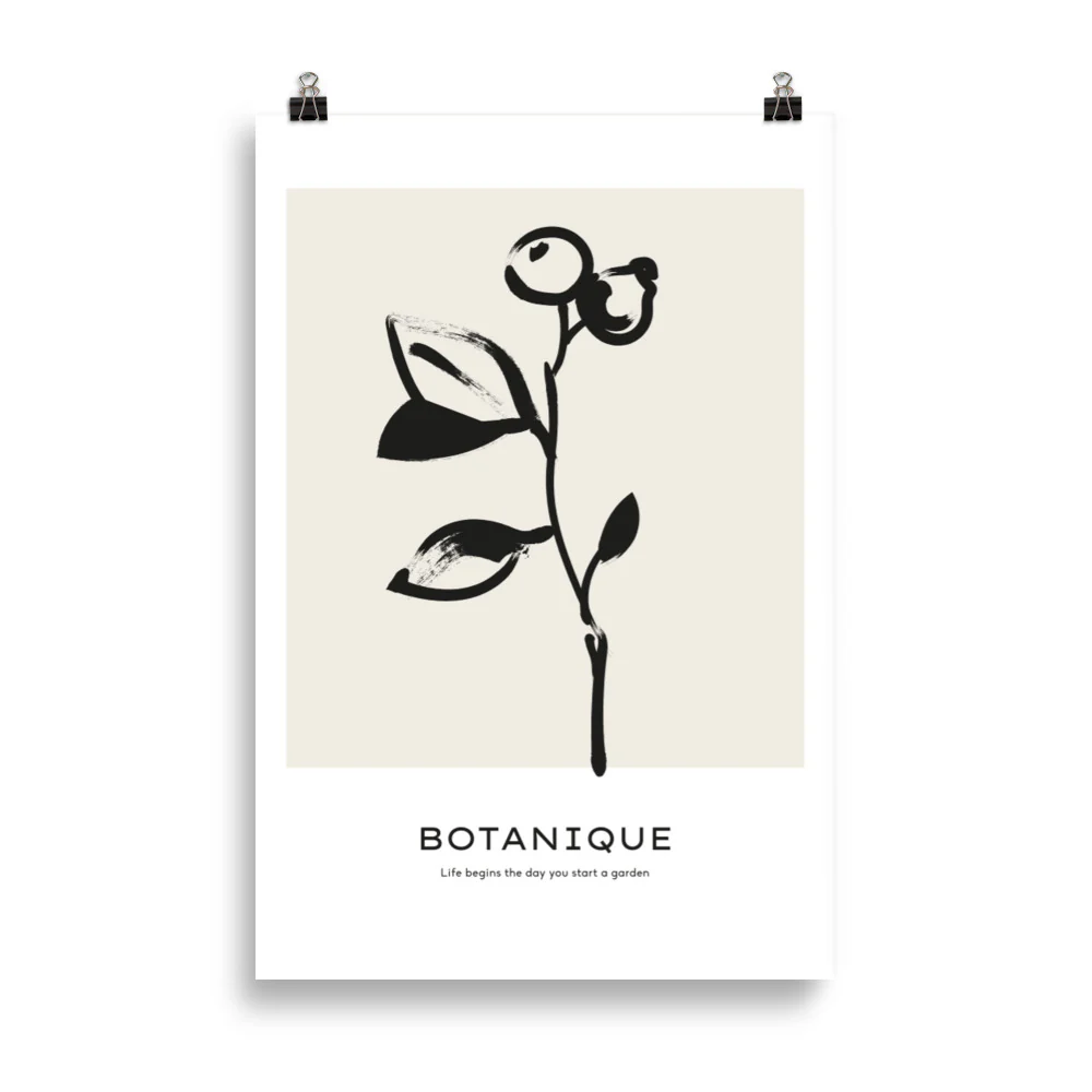 Botanique - Fruit - Image 5
