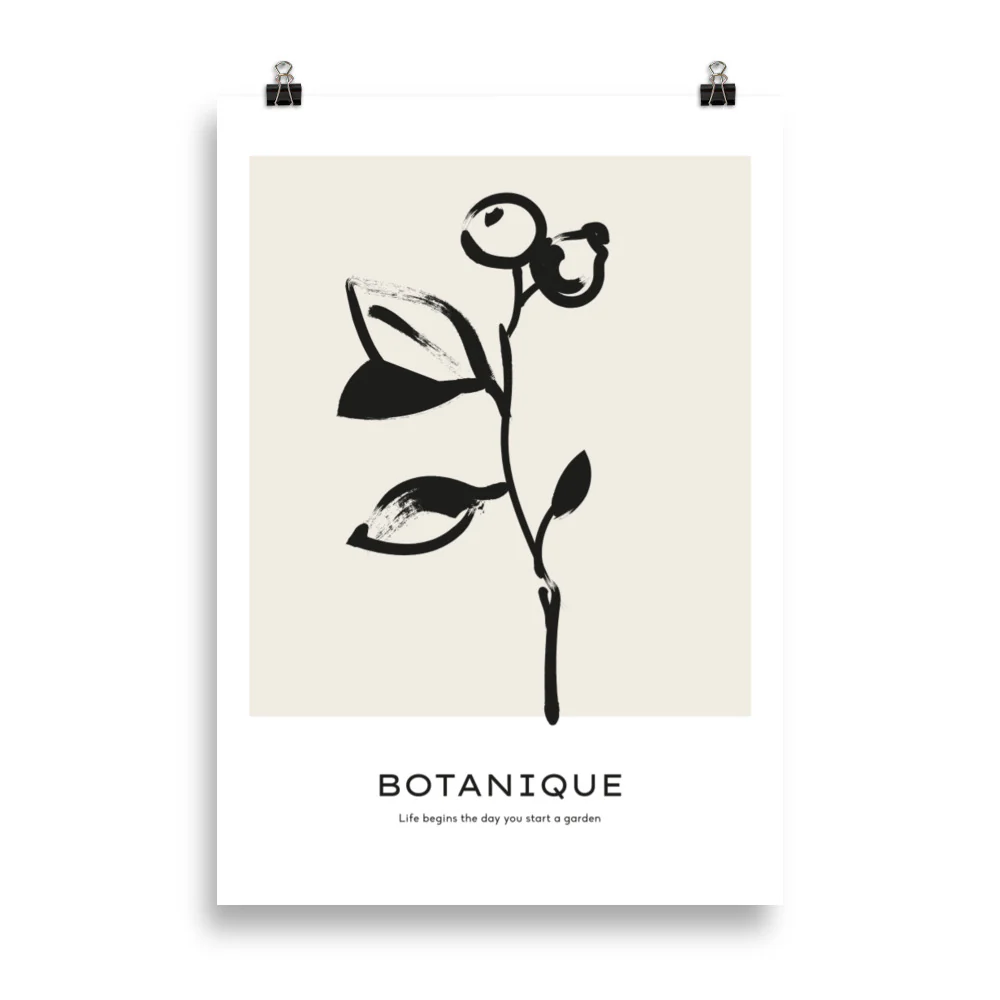 Botanique - Fruit - Image 6