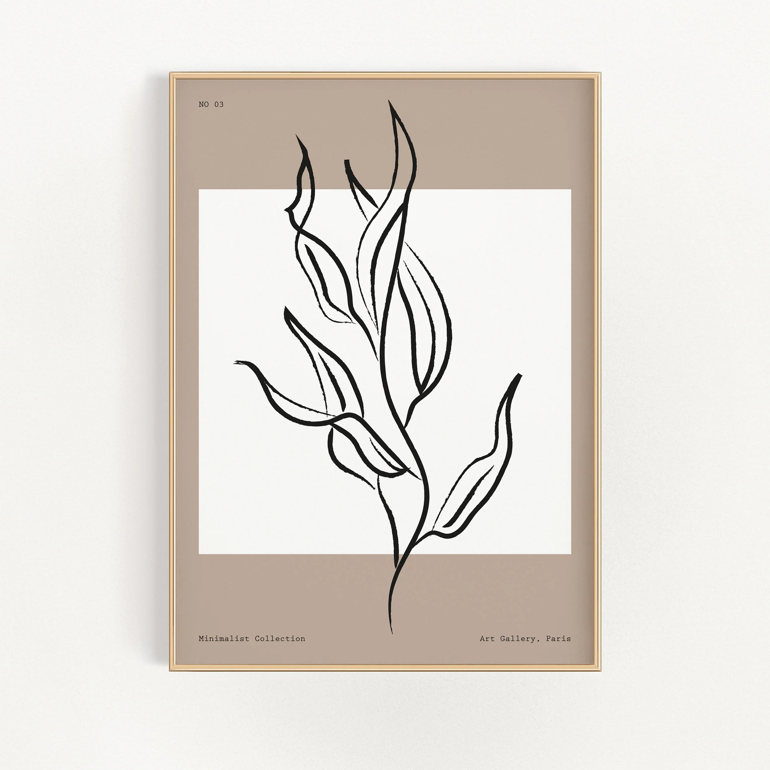 Botanique - Leaves