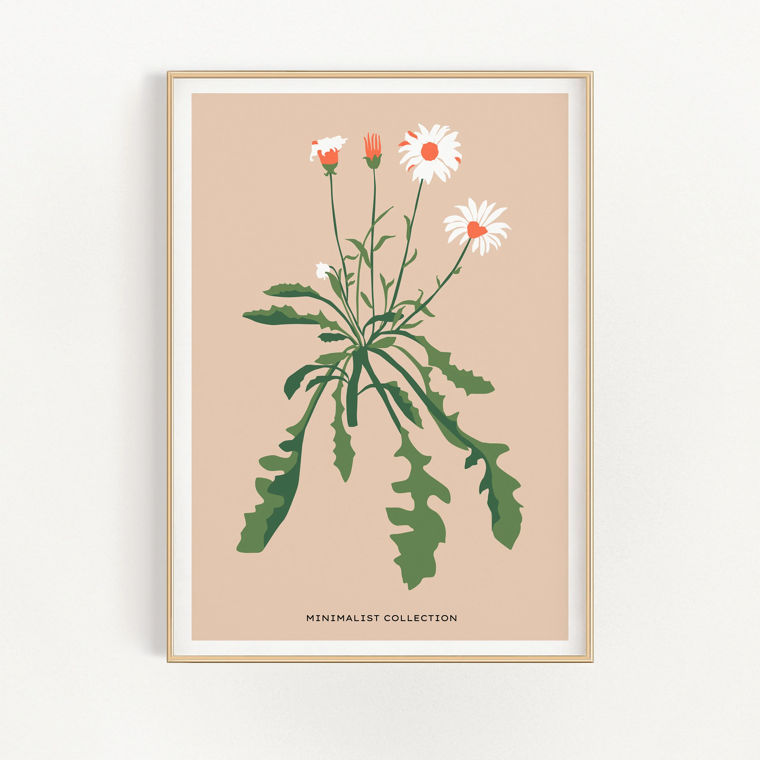 Dandelion 2