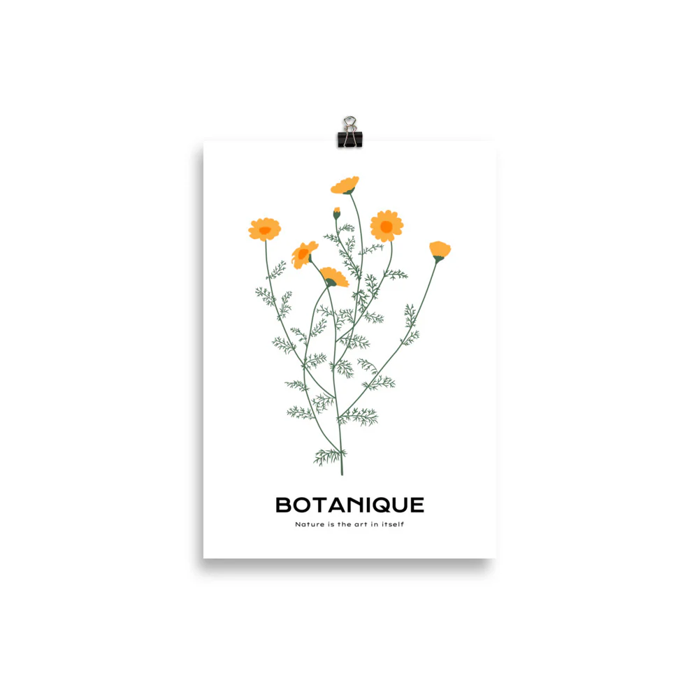 Dandelions - Image 2