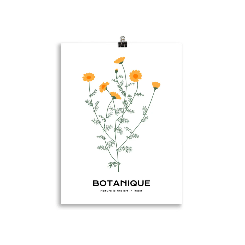 Dandelions - Image 3