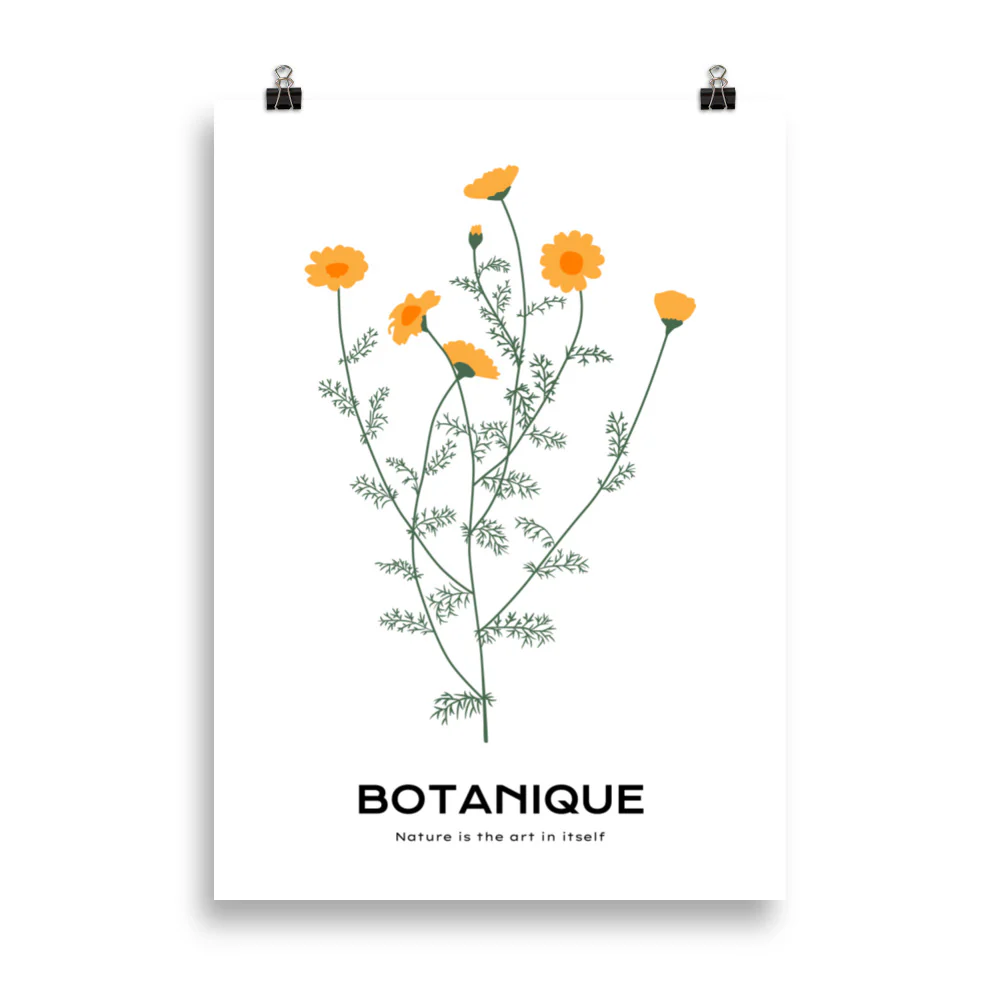 Dandelions - Image 4
