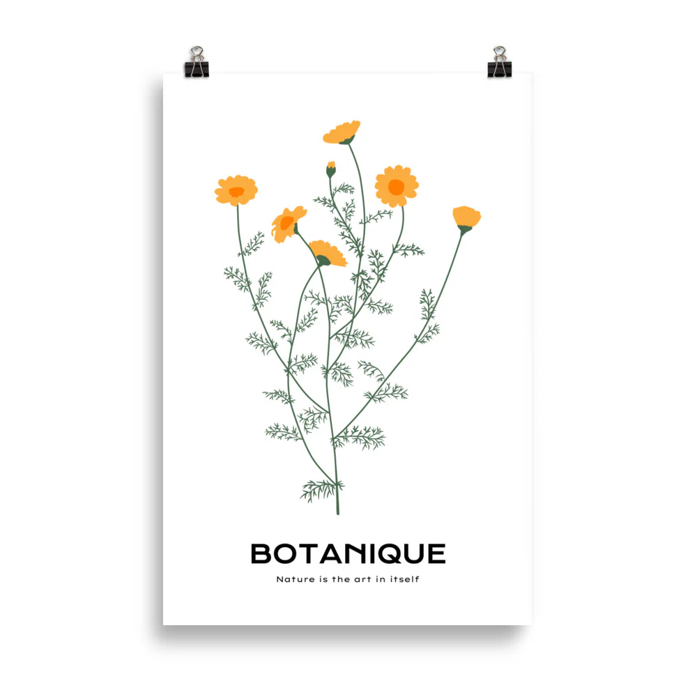 Dandelions - Image 5