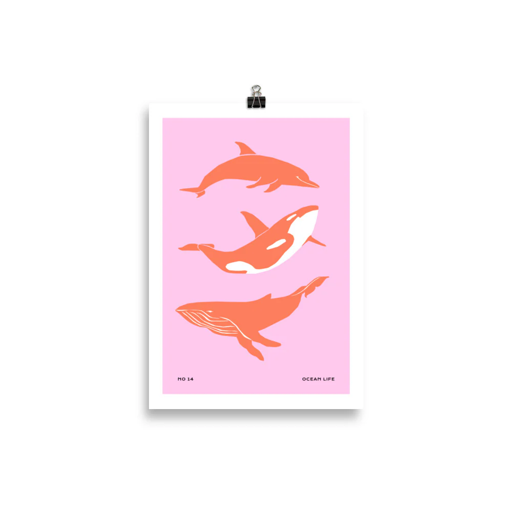 Dolphines - Image 2