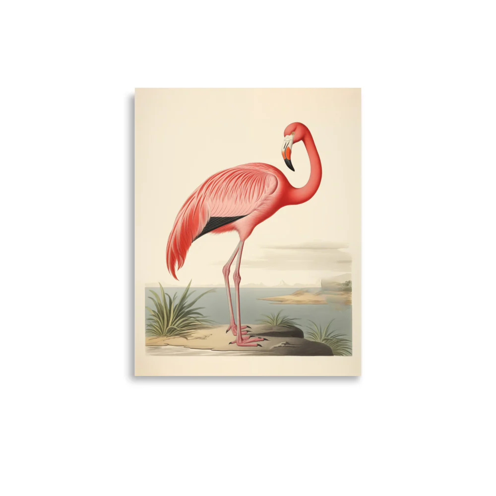 Flamingo - Image 2