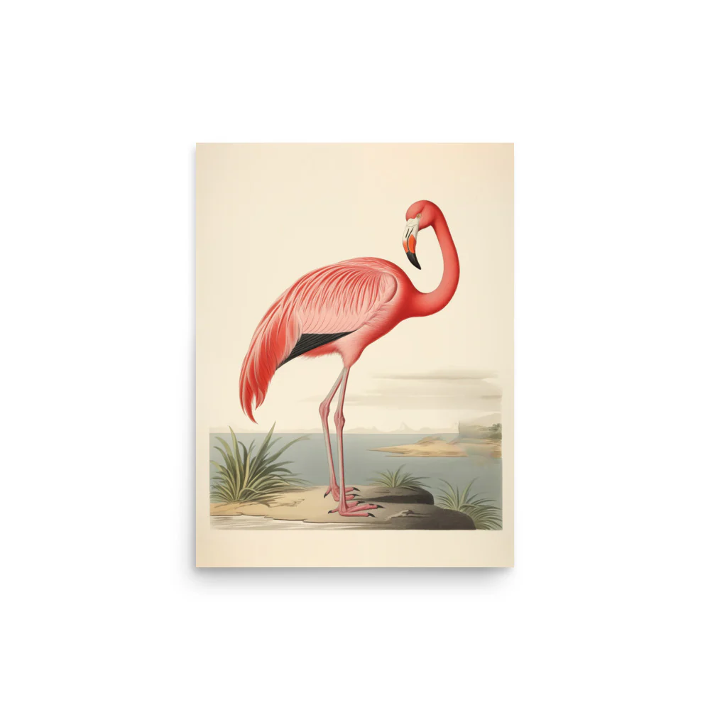 Flamingo - Image 3