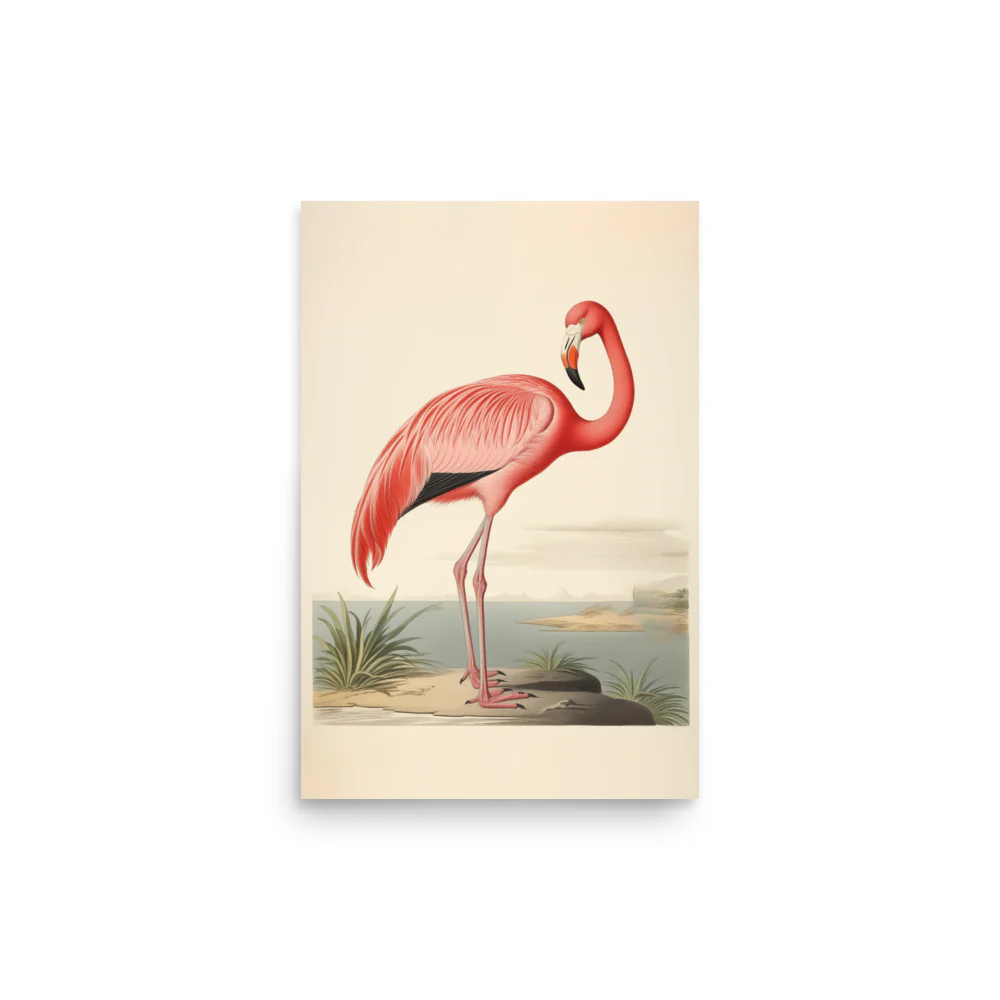 Flamingo - Image 4