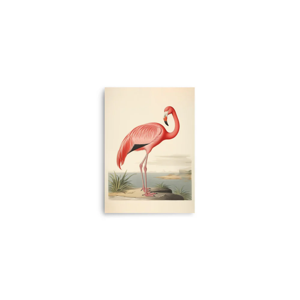 Flamingo - Image 8
