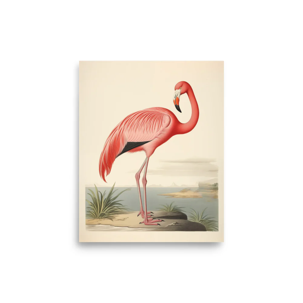 Flamingo - Image 9