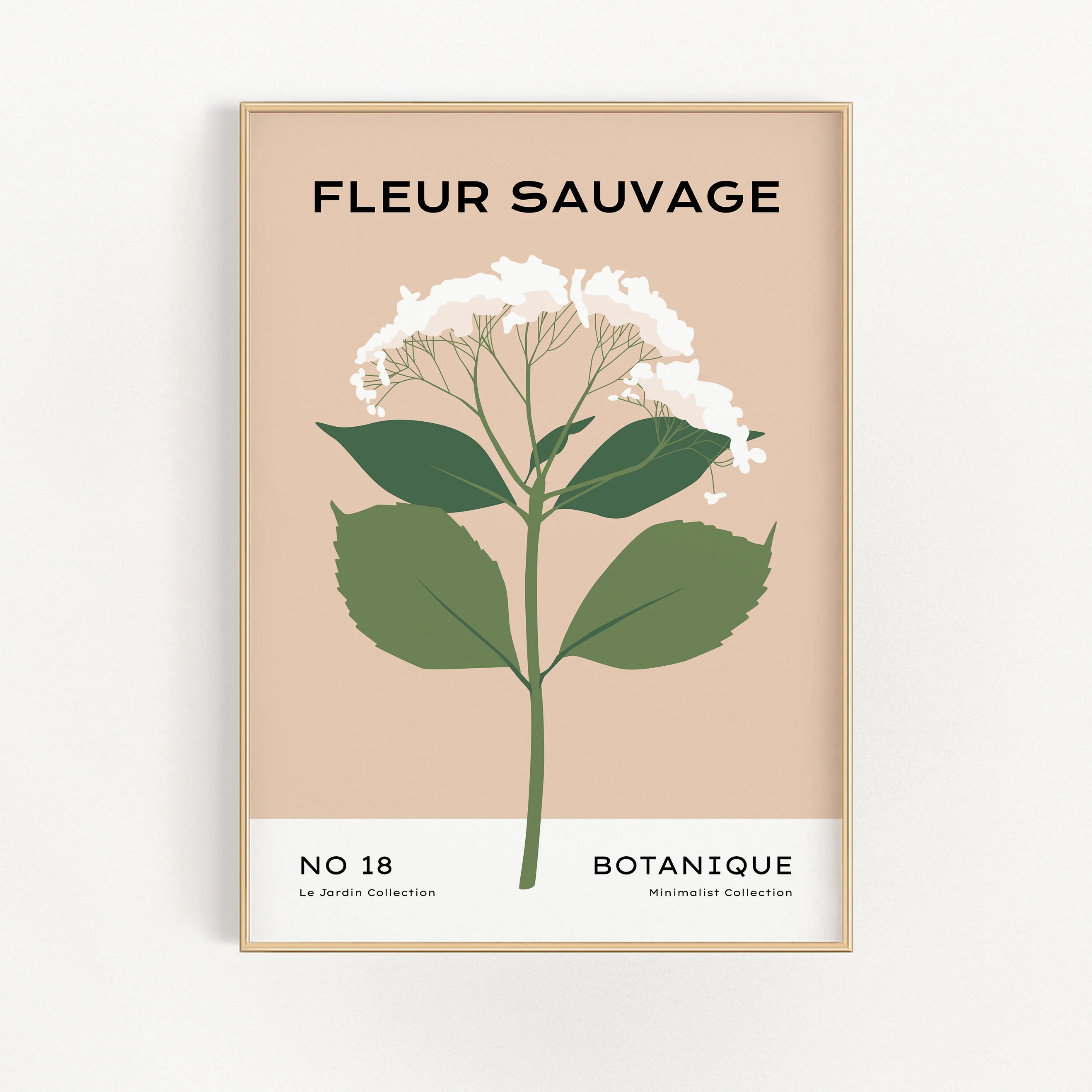 Fleur Sauvage - No. 18