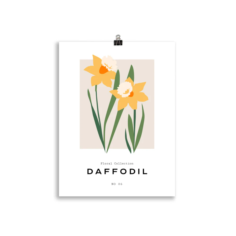 Floral Collection - Daffodil - Image 3