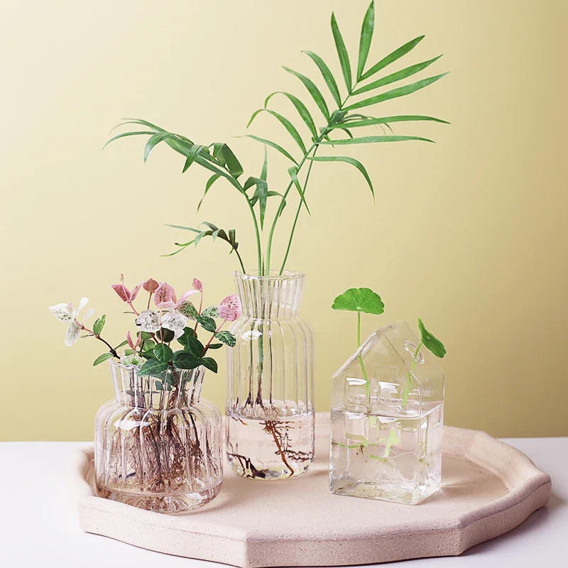 Glass Vase (Various Shape)