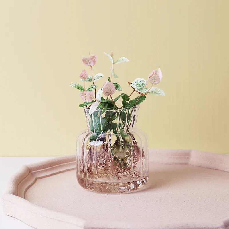 Glass Vase (Various Shape) - Image 3