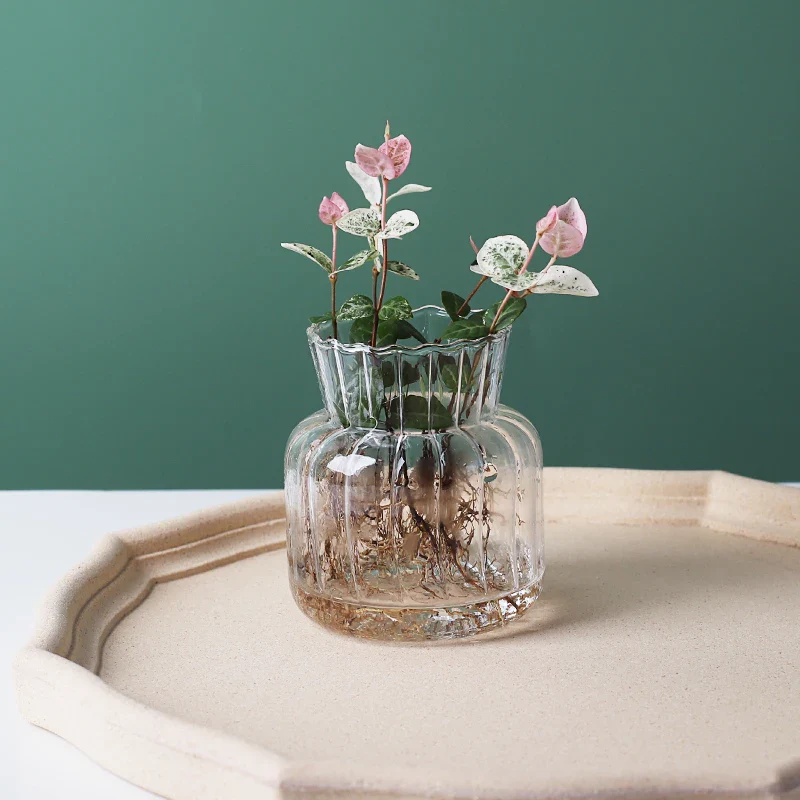 Glass Vase (Various Shape) - Image 6