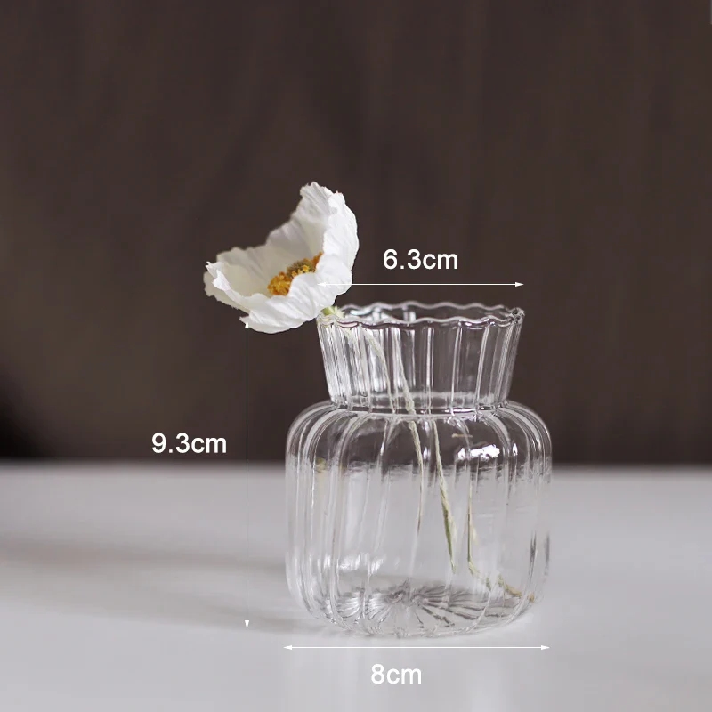 Glass Vase (Various Shape) - Image 8